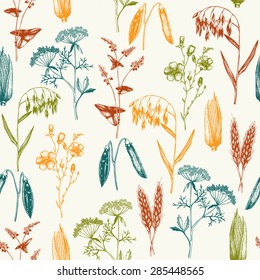 Vector seamless pattern with ink hand drawn agriculture plants sketch. Vintage farm plants illustration. Eco food background