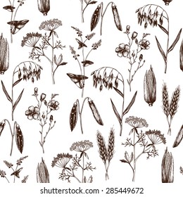 Vector seamless pattern with ink hand drawn agriculture plants sketch. Vintage farm plants illustration. Eco food background