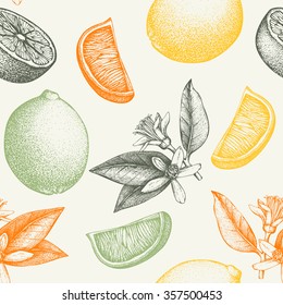 Vector seamless pattern with ink hand drawn lime  fruit, flowers, slice and leaves sketch. Vintage citrus background in pastel colors