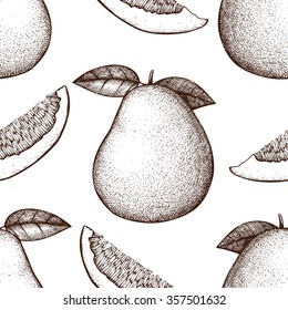 Vector seamless pattern with ink hand drawn pomelo fruit, slice and leaves sketch. Vintage citrus background isolated on white