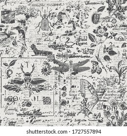 Vector seamless pattern with insects and herbs in retro style. Abstract black and white background with illegible scribbles and sketches on an old newspaper backdrop. Wallpaper, wrapping paper, fabric