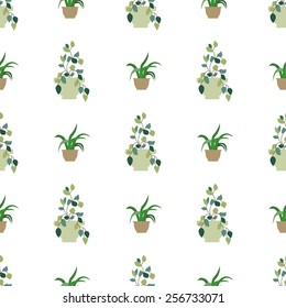 Vector seamless pattern of internal plants in pots. Vector illustration