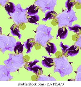 vector seamless pattern with iris