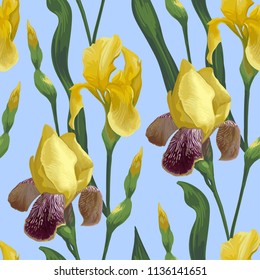 
Vector seamless pattern. Iris flowers on a blue background.