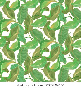  Patrón vectorial sin fisuras con hojas de palma tropicales de jungla. Oro de lujo y fondo verde natural. Diseño botánico exótico para textiles, papel pintado, sitio web, papel de envoltura, camisa de estilo hawaiano