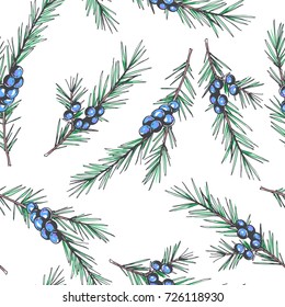 Vector seamless pattern with juniper branches. Botanical hand drawn illustration of stems with seeds. Floral texture