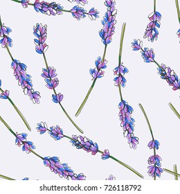 Vector seamless pattern with lavender branches. Hand drawn botanical illustration of cute flowers. Floral texture