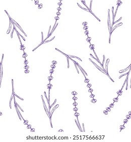 Vector seamless pattern with lavender. Hand painted linear flowers. Graphic clipart isolated on background. Botanical and wedding illustration. For designers, invitations, decoration, postcards, wrapp