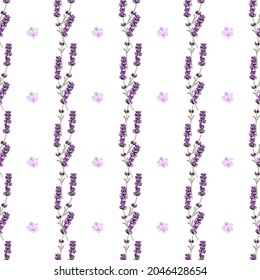 vector seamless pattern with lavender twigs and pink flowers on a white background