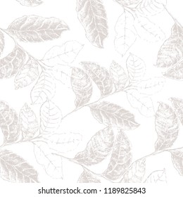 Vector seamless pattern leaf on white.