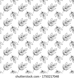 Patrón de vectores sin fisuras con hojas. Diseño floral botánico.Textura interminable sobre un fondo blanco al estilo Doodle. Impresión moderna. Hermoso adorno para envolver papel, textiles.
