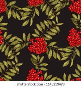 Vector seamless pattern with leaves and fruits of mountain ash on a black background. Colors of autumn nature for your design