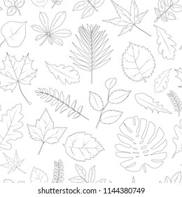 Vector seamless pattern. Leaves of maple, oak, linden, birch, dog rose, strawberry, chestnut, monsteras.