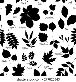 Vector seamless pattern of leaves silhouettes with names of trees and bushes on white background. Linden, ash, oak,maple, box elder, hawthorn, chestnut, birch, elm, willow, aspen, acacia, rowan, lilac