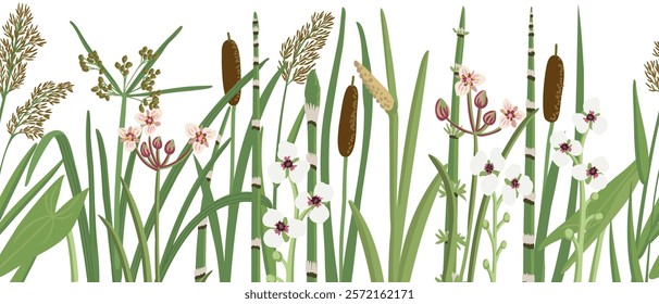 vector seamless pattern with lesser bulrush, reed and flowers, vector drawing wild plants at white background,floral border, hand drawn botanical illustration