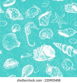 vector seamless pattern with line drawing shells, hand drawn  illustration