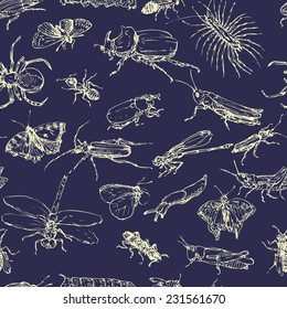vector seamless pattern with line drawing insects, hand drawn nature illustration