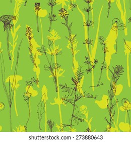 Vector seamless pattern with line drawing herbs and wild flowers