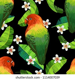 Vector seamless pattern with lovebird, flowers and palm leaves on black background. Realistic birds and plants. Colorful summer illustration.