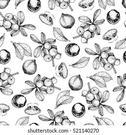 Vector seamless pattern of macadamia nuts and branch. Hand drawn engraved art. Healthy beauty hair nutrition. Use for design your fashion care products, branding, identity, advertisement, promotion. 