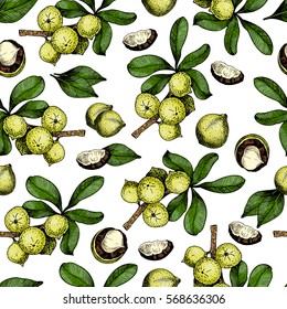 Vector seamless pattern of macadamia nuts and branches. Hand drawn colored engraved art. Healthy beauty hair nutrition. design your fashion care products, branding, identity, advertisement, promotion.