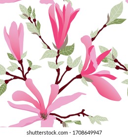 patrón vectorial transparente Magnolia Susan flores ramas de árbol hojas