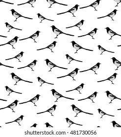 Vector seamless pattern of magpie