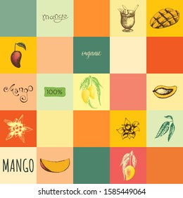 Vector seamless pattern with mangoes fruits and scripts, leaves and smoothie. Hand drawn Thai mango and flowers. For textile package, t shirt, wallpaper and fabric, tablecloth and kitchen design