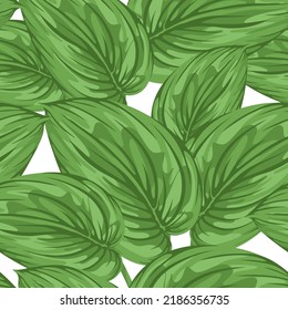 Vector seamless pattern with many large tropical leaves. Exotic plant. Green bright bush. Background element for summer packaging layouts design, banner, textile. Spring vibe. Trendy fashion print. 