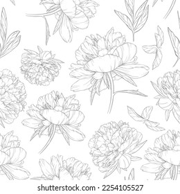 Vector seamless pattern with many large blooming peonies, small leaves. Linear decorative art element for packaging design layout, flower shop advertising. Trendy textile print. Contour plant set.