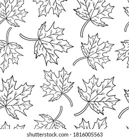 Vector seamless pattern with maple leaves, coloring page for kids and adults