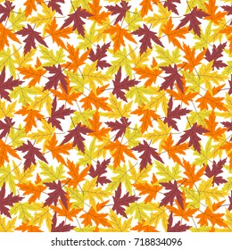 Vector seamless pattern with maple leaves on white background. Perfect for wallpaper, gift paper, autumn greeting cards.