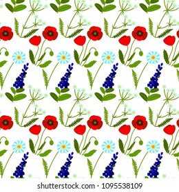 Vector seamless pattern with meadow flowers on white background. Summer design. Wild field flowers pattern.