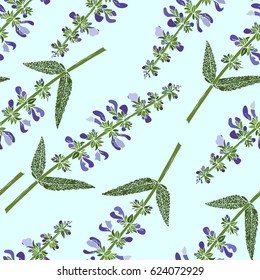 Vector seamless pattern with meadow sage. Salvia vector illustration. Flowering sage, aromatic plant. Sage herb. Hand-drawn illustration