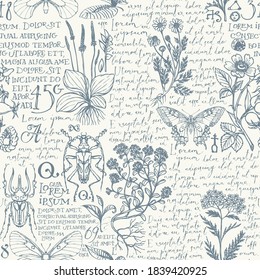 Vector seamless pattern with medicinal herbs, insects and handwritten text Lorem Ipsum. Retro style hand-drawn herbs, beetles, butterflies on an a light background. Wallpaper, wrapping paper, fabric