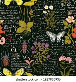 Vector seamless pattern with medicinal herbs, insects and handwritten text Lorem Ipsum. Hand-drawn plants, beetles, butterflies on a black background. Suitable for wallpaper, wrapping paper, textiles