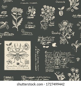 Vector seamless pattern with medicinal plants and insects in retro style. Hand-drawn beetles, herbs and illegible scribbles on a dark background. Suitable for Wallpaper, wrapping paper, fabric