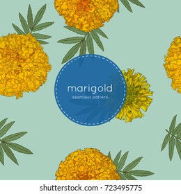 Vector seamless pattern of Mexican holiday "Day of the Dead". The illustration with traditional marigold flowers.