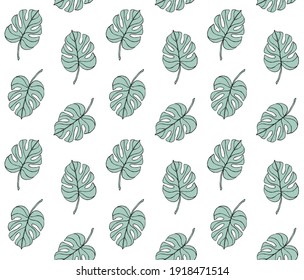 Vector seamless pattern of mint colored hand drawn doodle sketch monstera leaf isolated on white background