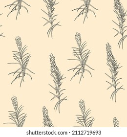 Vector seamless pattern. Monochrome botanical realistic graphic motif for textile and design. Graphically drawn herbs and leaves on a beige background in Huggo style