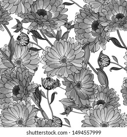 Vector seamless pattern with monochrome flowers calendula and leaves on white background. Black and white. Floral background for fashion, textile, wallpapers, greetings, web pages.