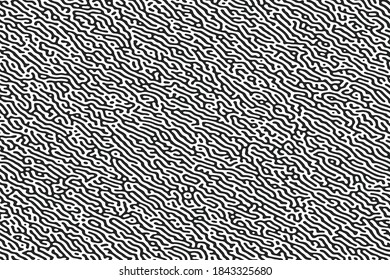 Vector seamless pattern. Monochrome organic shapes. Stylish structure of natural cells. Hand drawn abstract background.