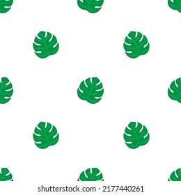 Vector seamless pattern with monstera leafs on white background