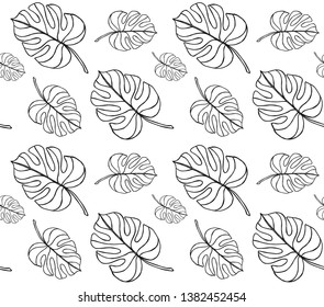 Vector seamless pattern of monstera palm leaves isolated on white background 