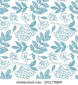 Vector seamless pattern of mountain ash drawn in a linear style. Contour autumn illustration of blue color for printing beautiful ornaments on fabric, packaging, textiles and wallpaper, banners, etc.