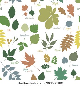 Vector seamless pattern of multicolor leaves silhouettes with names on white background. Linden, ash, oak, maple, box elder, hawthorn, chestnut, birch, elm, willow, aspen, acacia, rowan, lilac, rowan