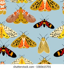 vector seamless pattern of multicolored butterflies and moths ,hand drawn picture