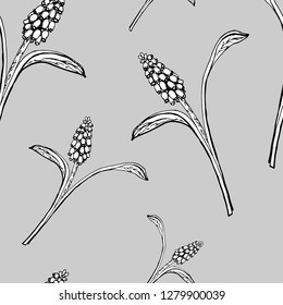 Vector seamless pattern with muscari. Black and white contour monochrome