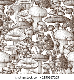 Vector seamless pattern mushrooms in engraving style. Linear graphic fly agaric, chanterelles, porcini mushrooms, honey agarics, moreli, mycena, russula, boletus