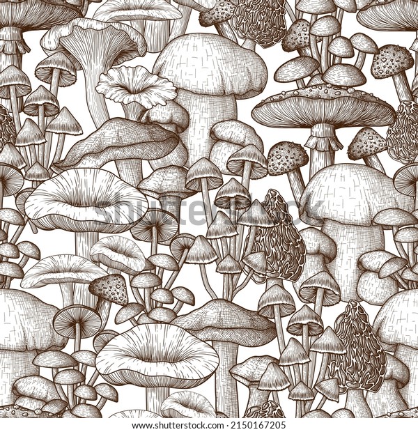 Vector seamless pattern\
mushrooms in engraving style. Linear graphic fly agaric,\
chanterelles, porcini mushrooms, honey agarics, moreli, mycena,\
russula, boletus